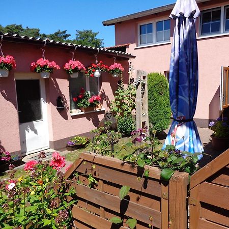 Ferienwohnung Duehne Ostseebad Kühlungsborn Kültér fotó